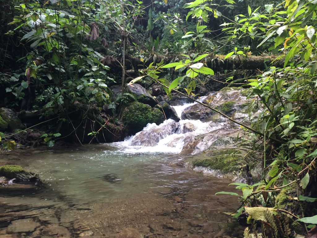 Cascadas de Río Verde