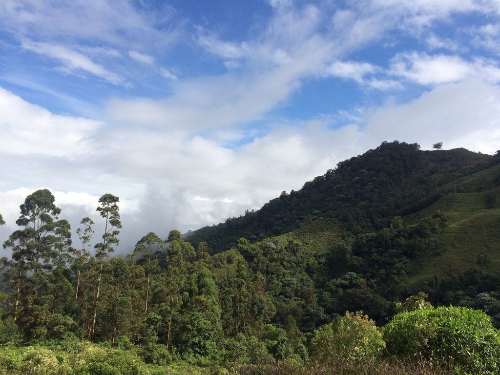 Cascadas de Río Verde