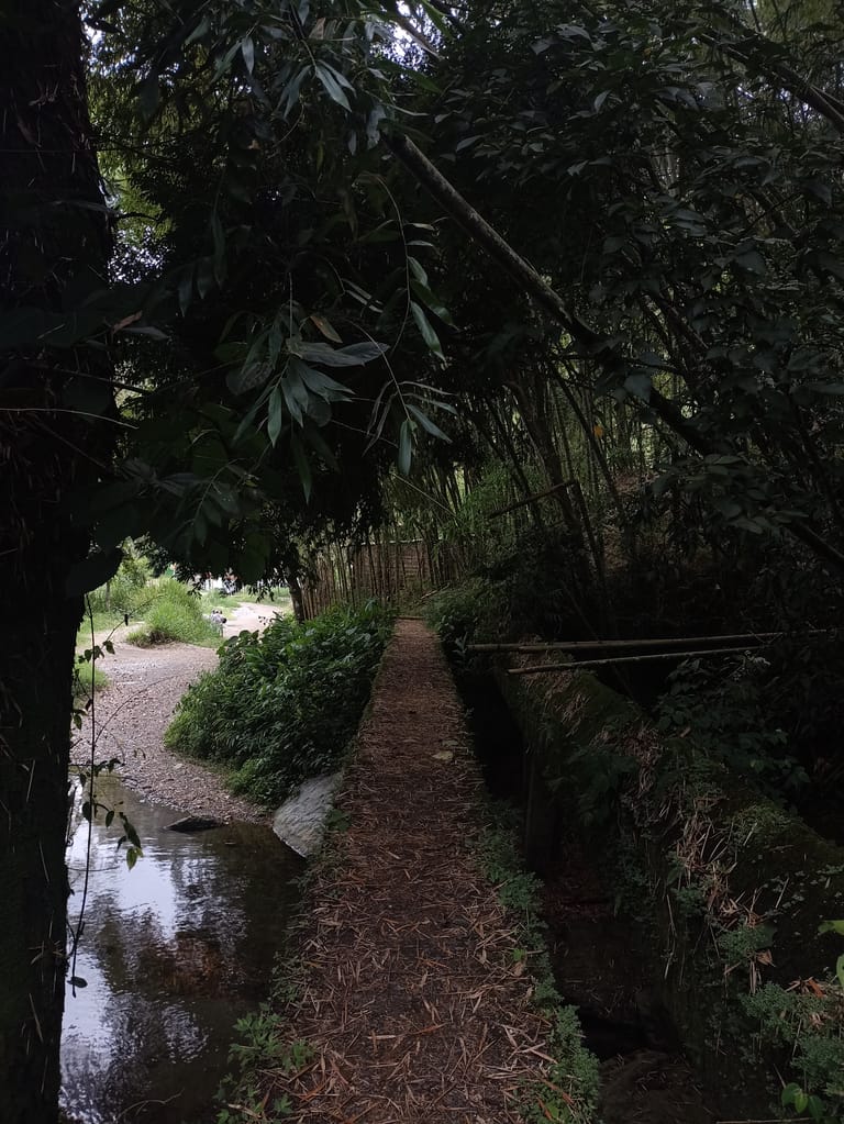 Chorros de San Rafael
