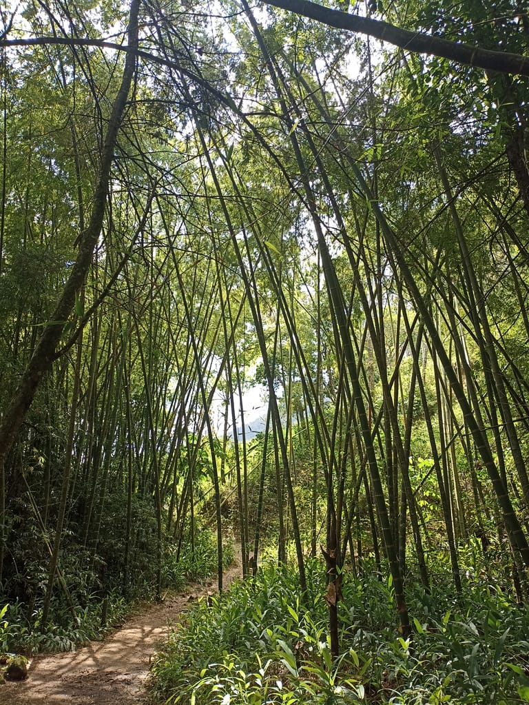 Chorros de San Rafael