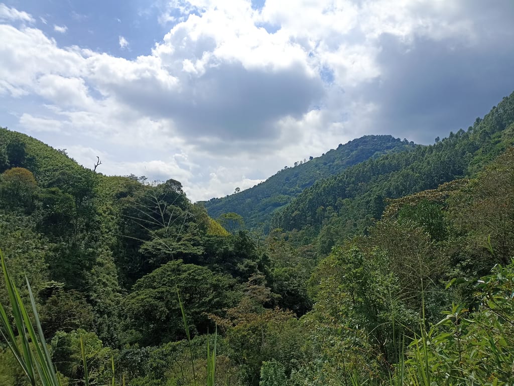 Chorros de San Rafael