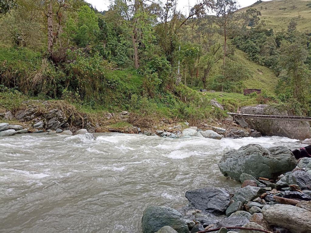 El bosque del Silencio