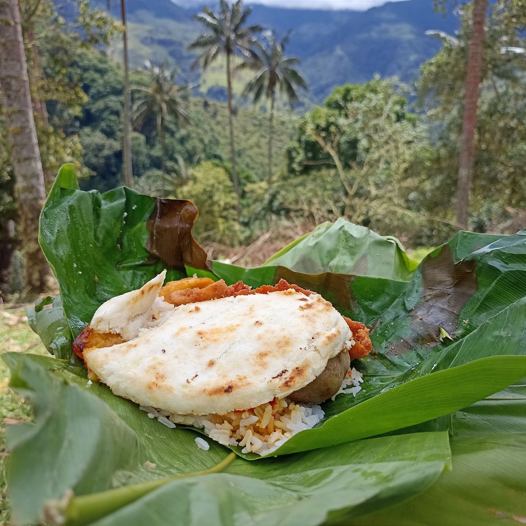 El bosque del Silencio