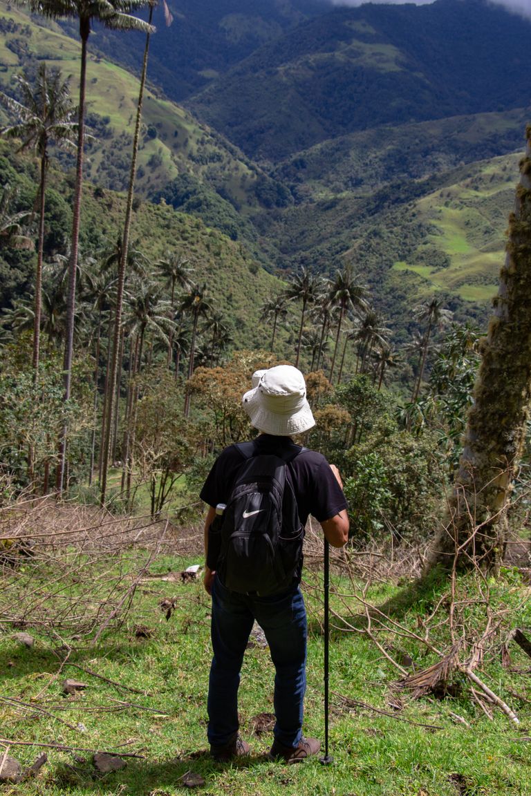 El bosque del Silencio