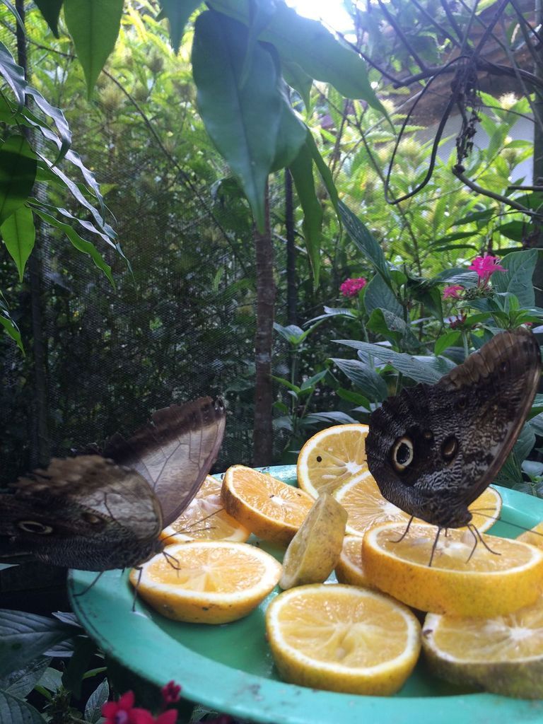 Jardín Botánico