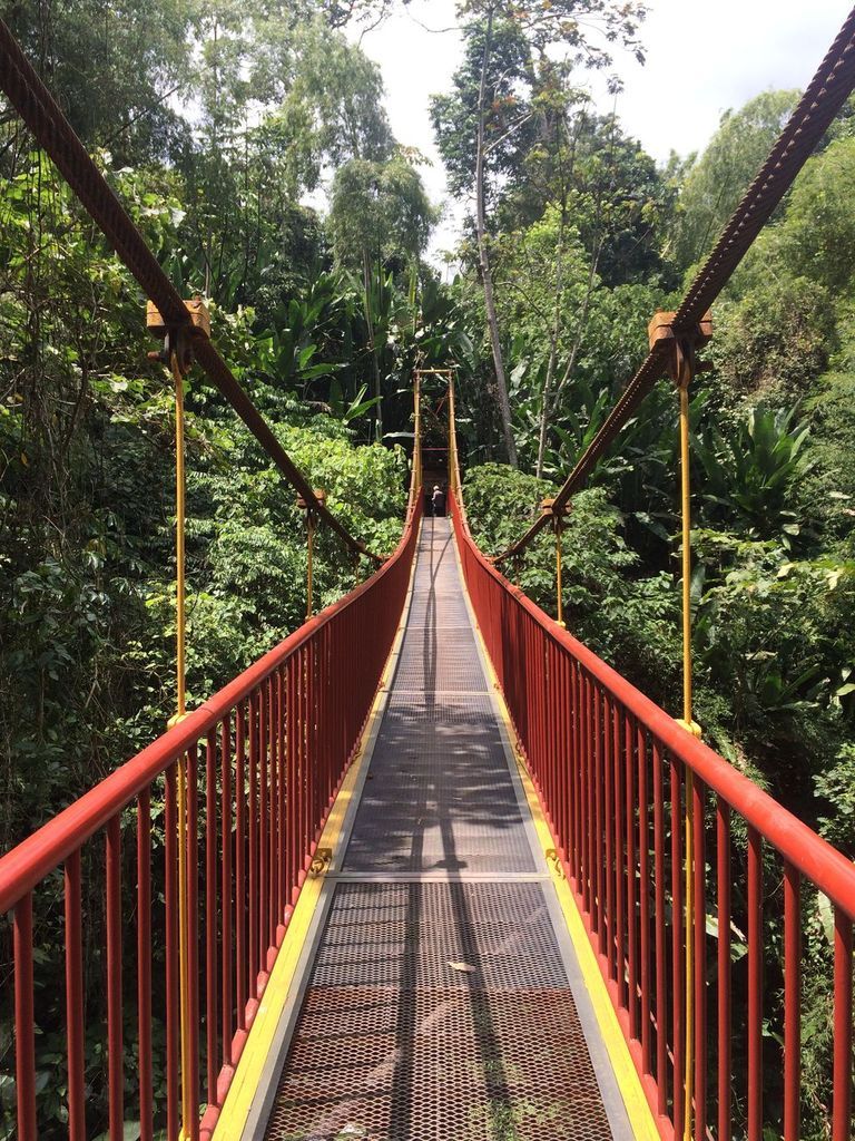 Jardín Botánico
