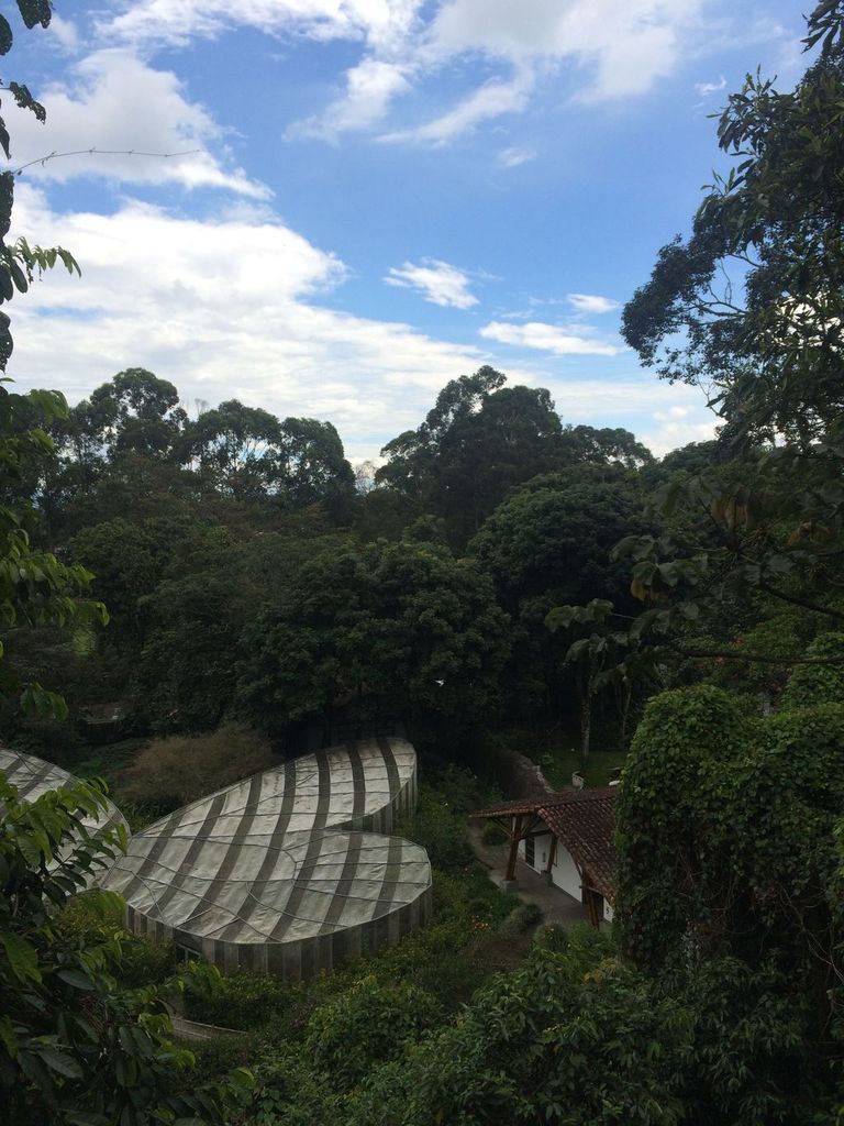 Jardín Botánico