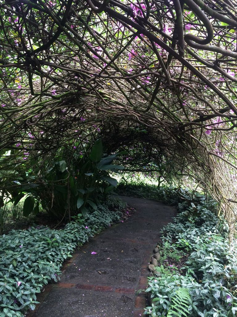 Jardín Botánico