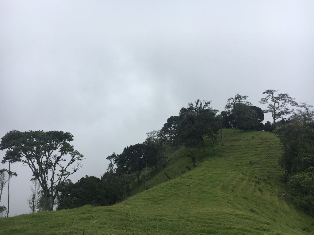 Morrogacho