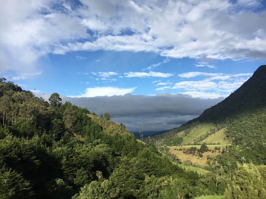 Morrogacho