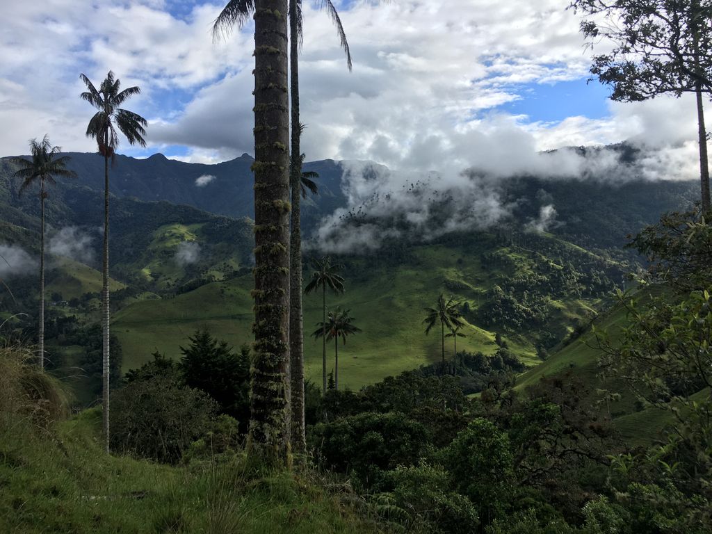Morrogacho