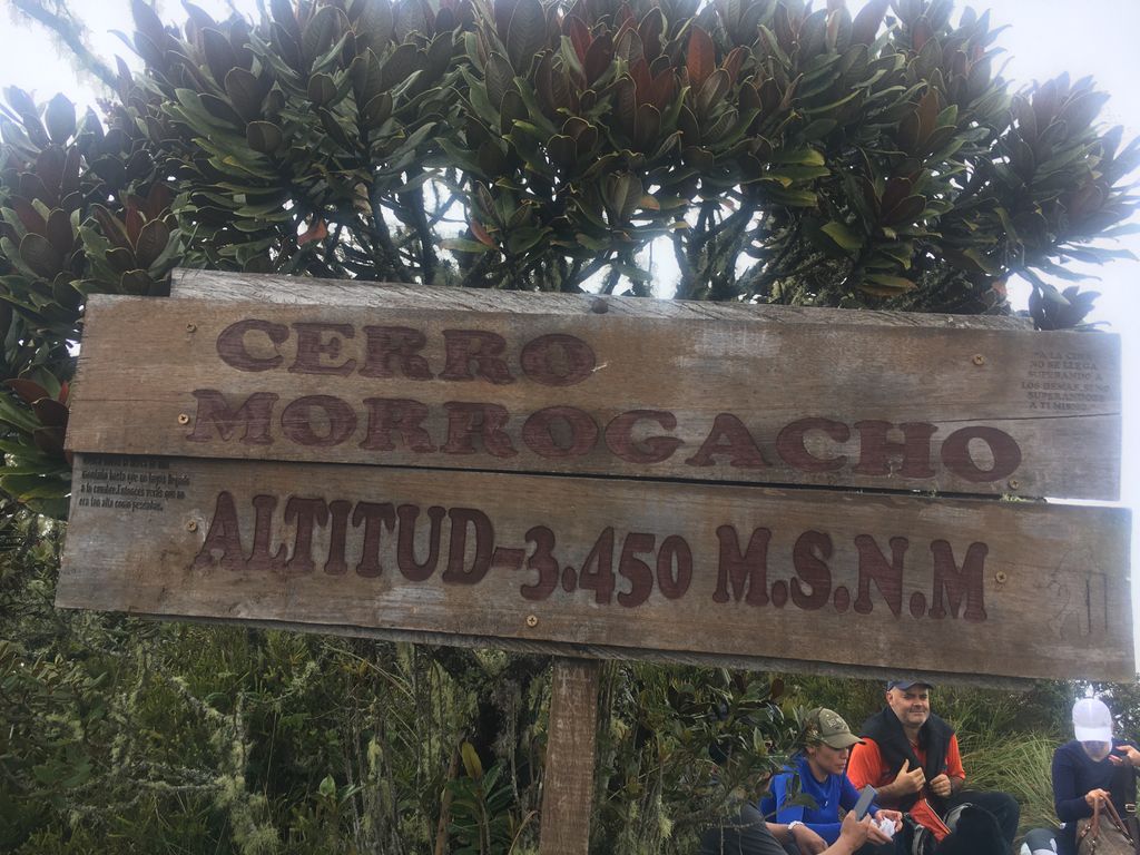 Morrogacho