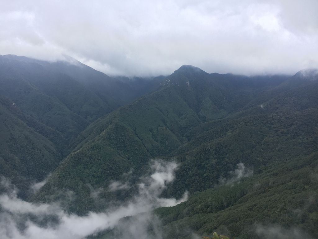Morrogacho