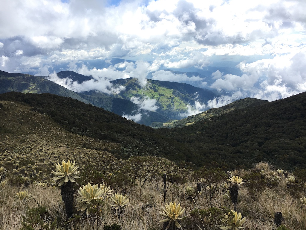 Paramo del Chilí