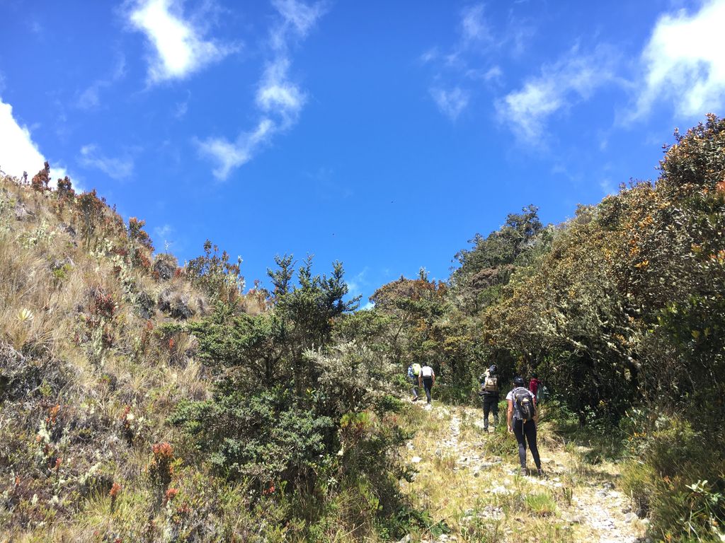 Paramo del Chilí