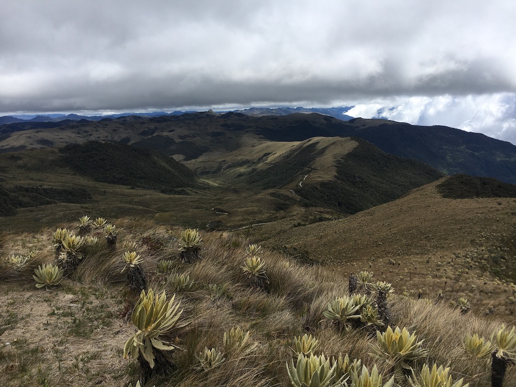 Paramo del Chilí