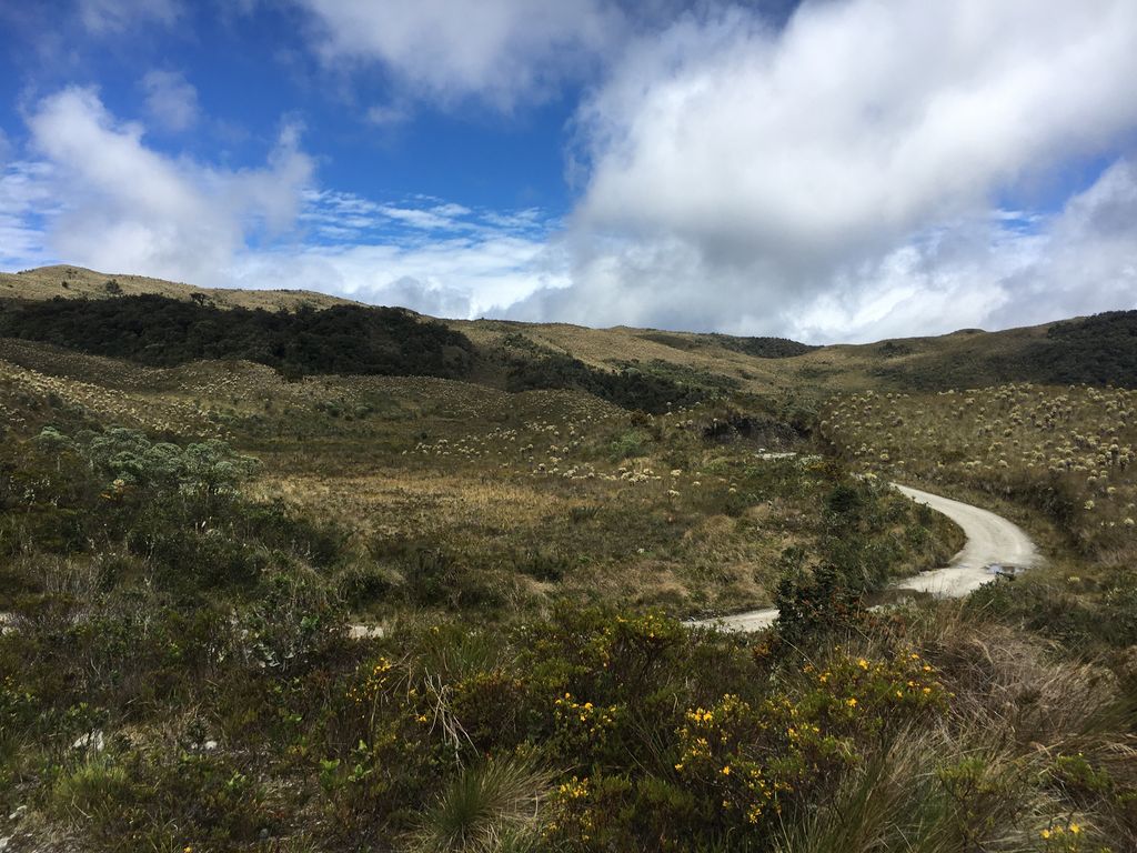 Paramo del Chilí