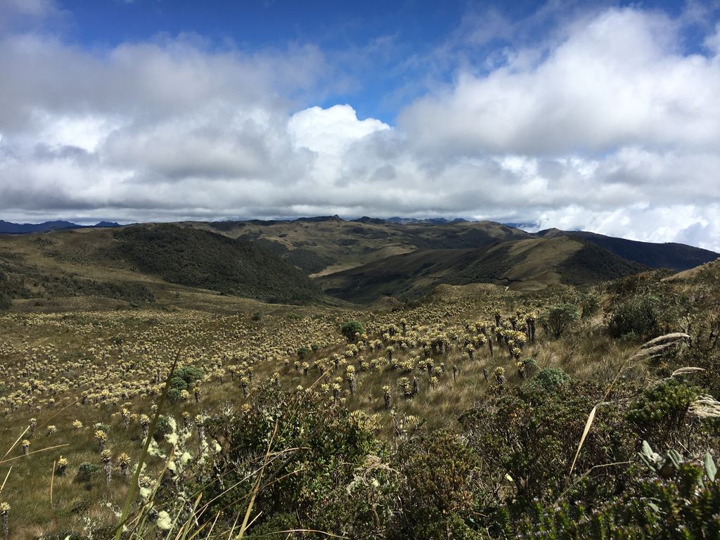 Paramo del Chilí