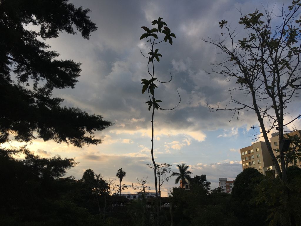 Parque de la vida