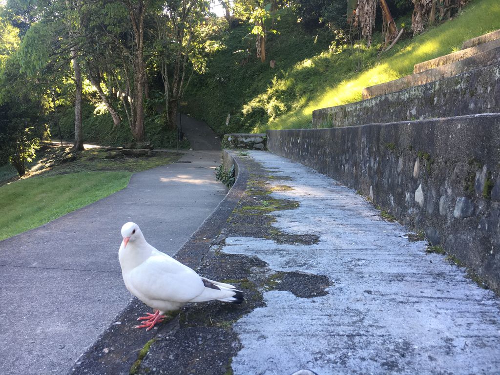 Parque de la vida