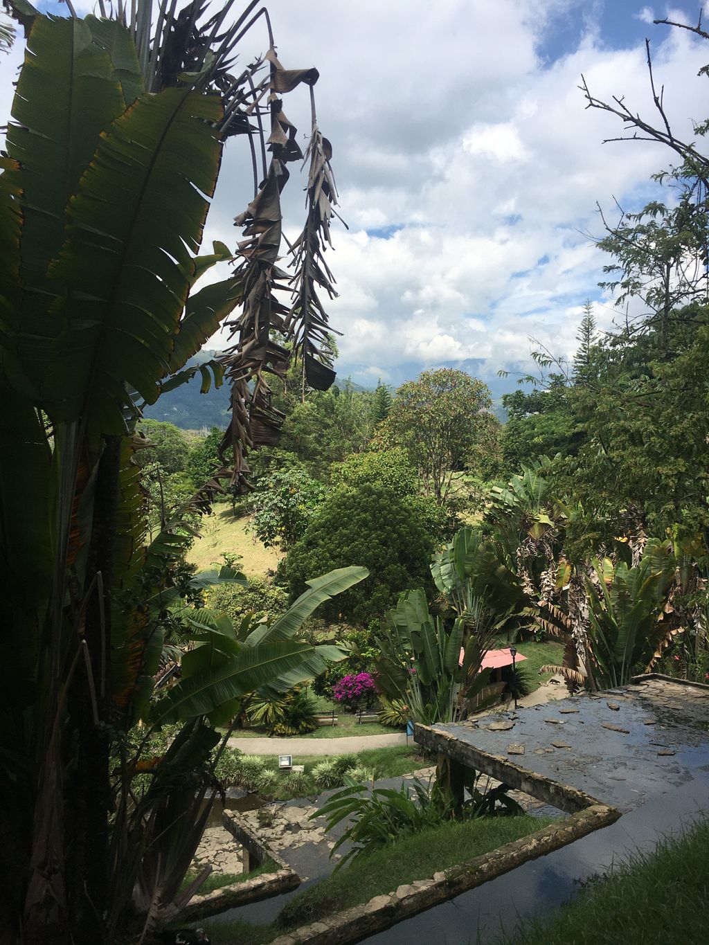 Parque de la vida