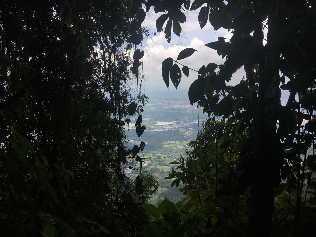 Peñas Blancas