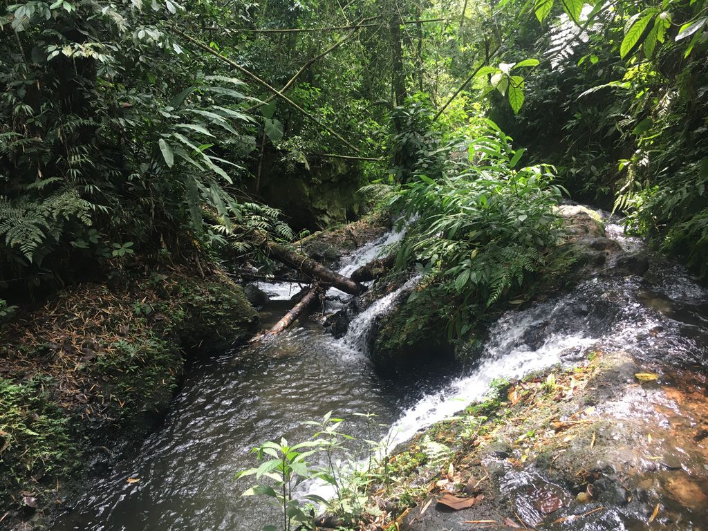 Salto del hippie