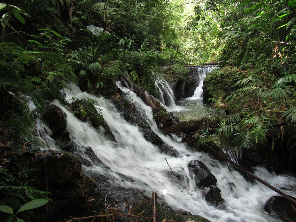 Salto del hippie