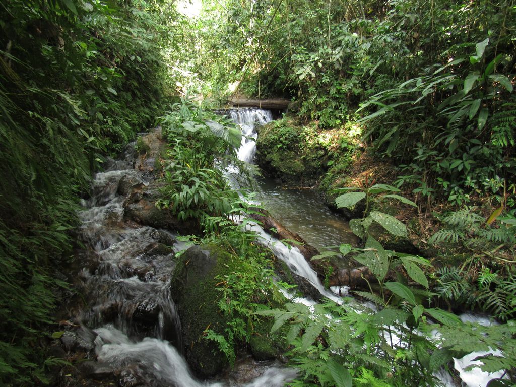 Salto del hippie