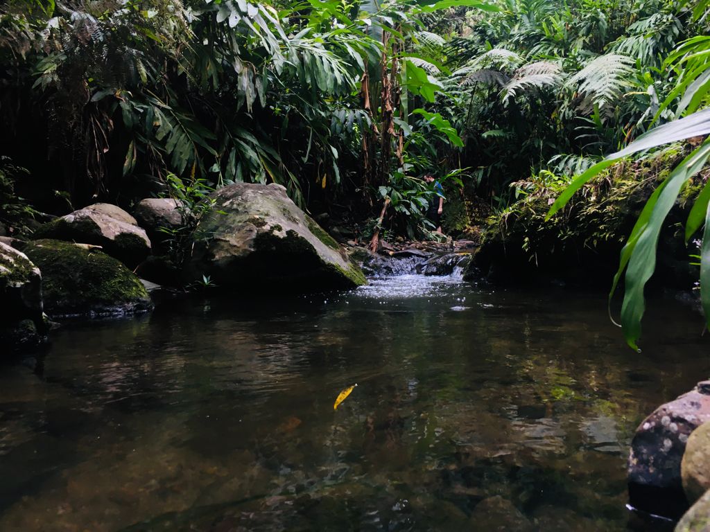 Salto del hippie
