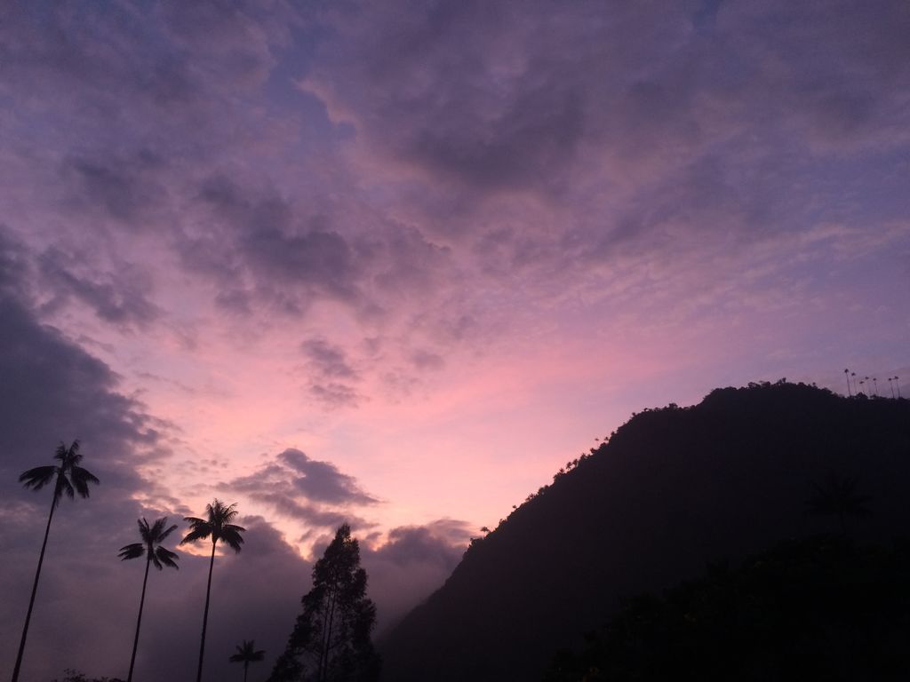 Valle de Cocora
