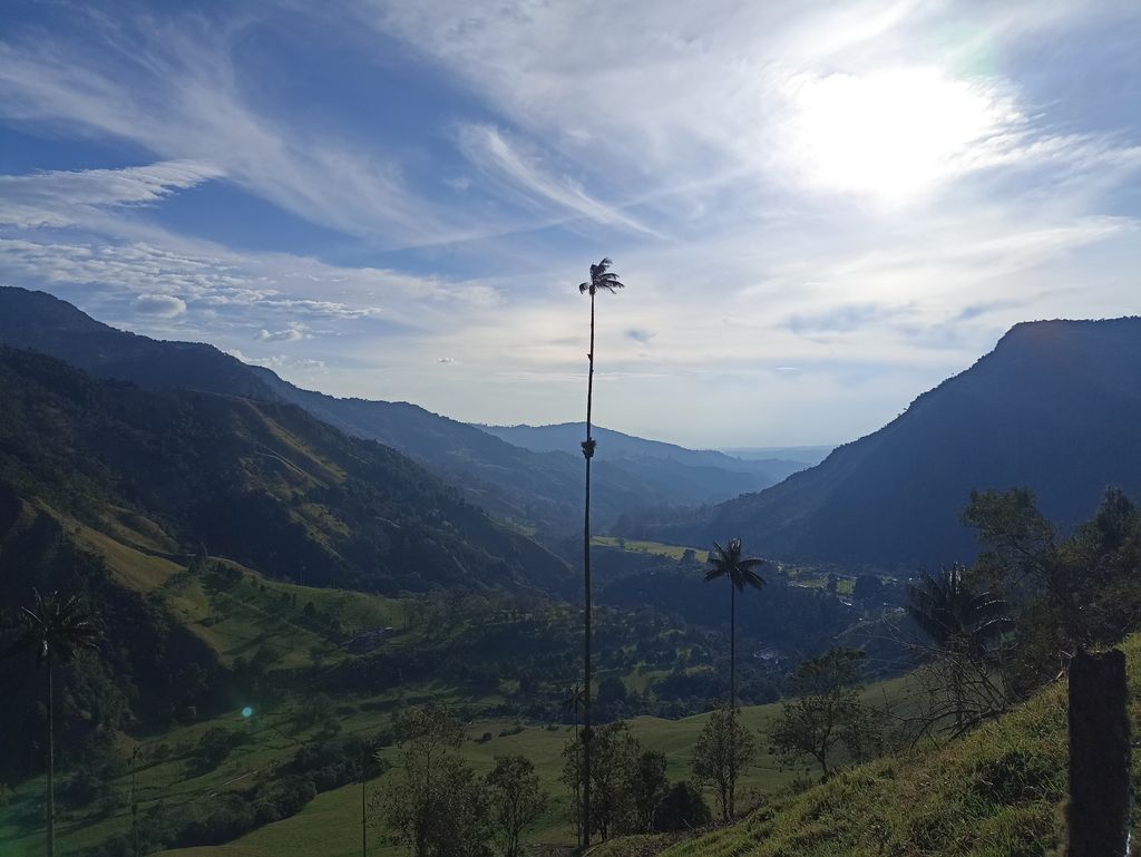 Valle de Cocora